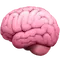 Brain emoji
